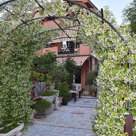 Apartments Scepanovic Tivat Eksteriør bilde