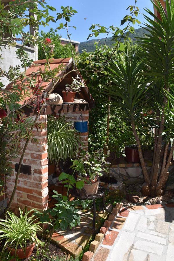 Apartments Scepanovic Tivat Eksteriør bilde
