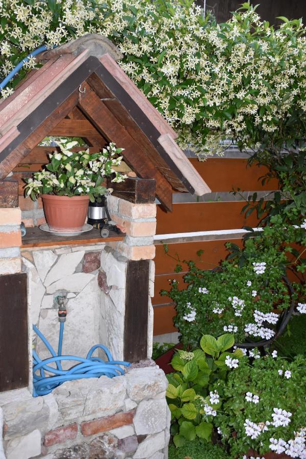 Apartments Scepanovic Tivat Eksteriør bilde