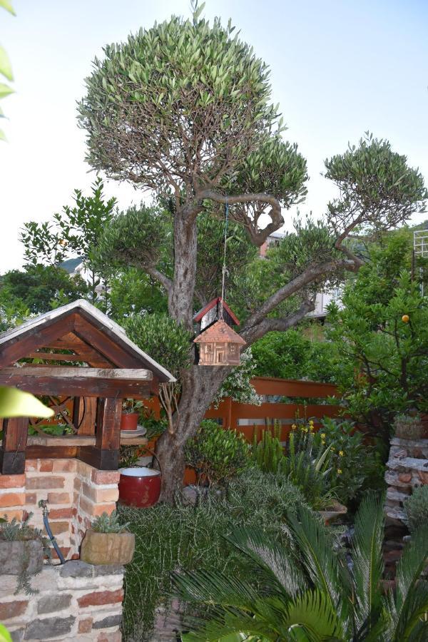 Apartments Scepanovic Tivat Eksteriør bilde